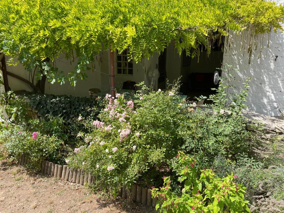 Villa L'Ancienne Raffinerie De Tabac à Dernacueillette Extérieur photo